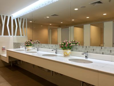 Elegant Vanity Areas